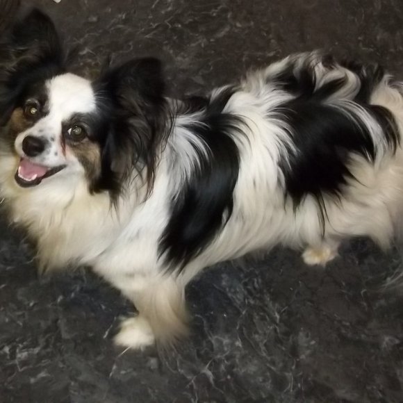 Meet your Posher, Debbie - Picture 5 of 5